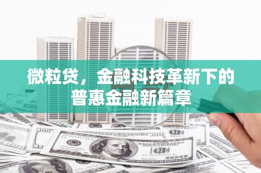 田家庵微粒贷，金融科技革新下的普惠金融新篇章