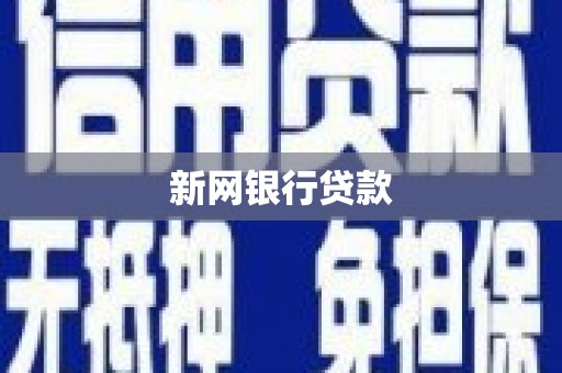 耒阳新网银行贷款