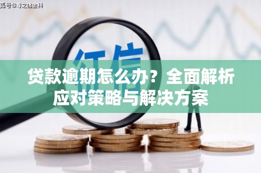 宁夏贷款逾期怎么办？全面解析应对策略与解决方案