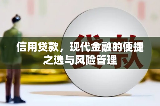平湖信用贷款，现代金融的便捷之选与风险管理