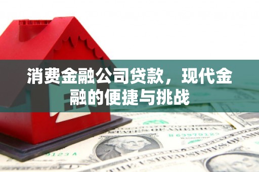 镇平消费金融公司贷款，现代金融的便捷与挑战