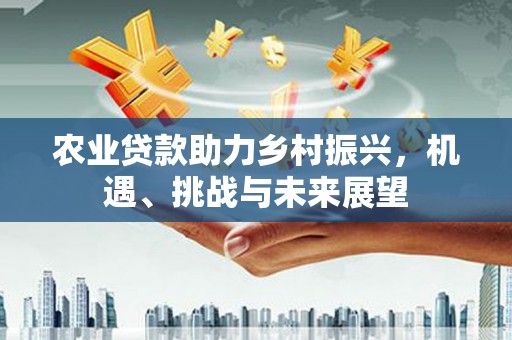 南陵农业贷款助力乡村振兴，机遇、挑战与未来展望