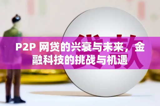 塔什库尔干塔吉克P2P 网贷的兴衰与未来，金融科技的挑战与机遇