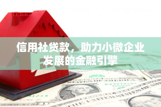 新泰信用社贷款，助力小微企业发展的金融引擎