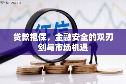 美姑贷款担保，金融安全的双刃剑与市场机遇