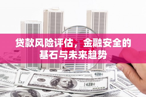 临安贷款风险评估，金融安全的基石与未来趋势