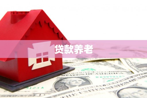 乐东贷款养老