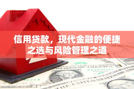 新蔡信用贷款，现代金融的便捷之选与风险管理之道