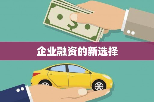 共和企业融资的新选择