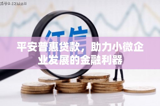 桐乡平安普惠贷款，助力小微企业发展的金融利器