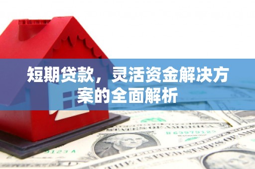 巴塘短期贷款，灵活资金解决方案的全面解析