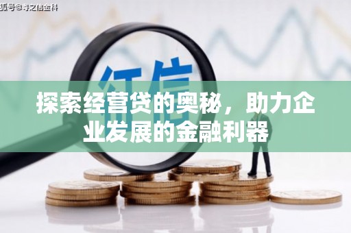 贺州探索经营贷的奥秘，助力企业发展的金融利器