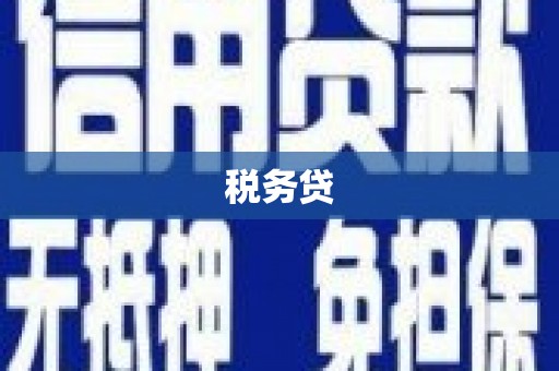 桓台税务贷