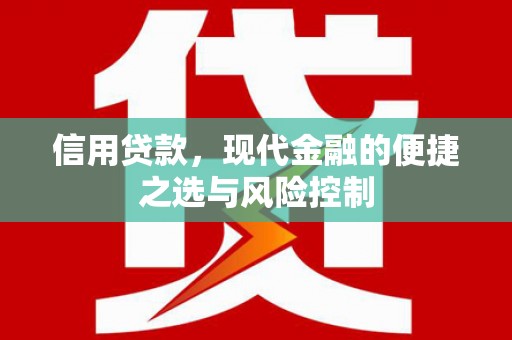渭城信用贷款，现代金融的便捷之选与风险控制
