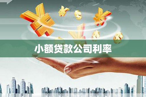 代县小额贷款公司利率