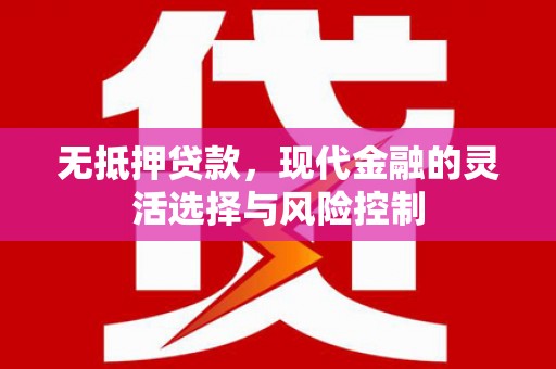 文水无抵押贷款，现代金融的灵活选择与风险控制