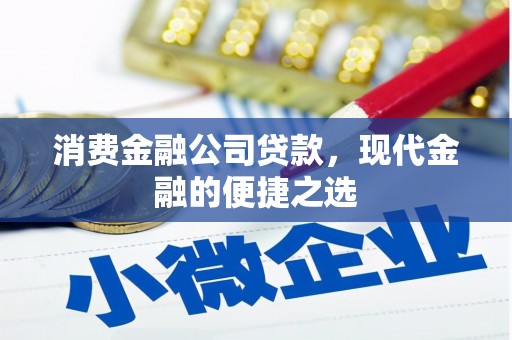 盐源消费金融公司贷款，现代金融的便捷之选