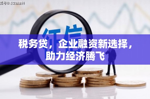 港南税务贷，企业融资新选择，助力经济腾飞