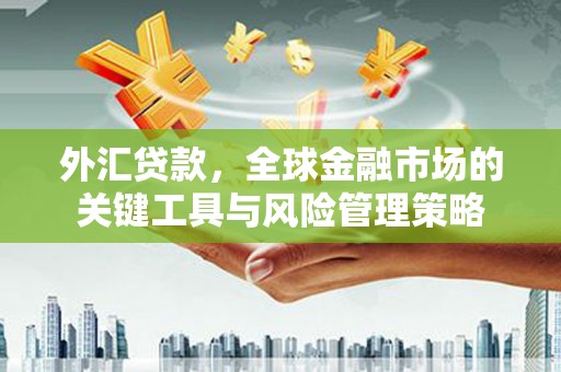 泰来外汇贷款，全球金融市场的关键工具与风险管理策略