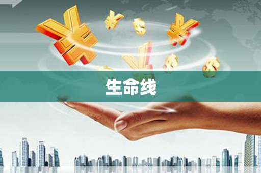 驻马店生命线