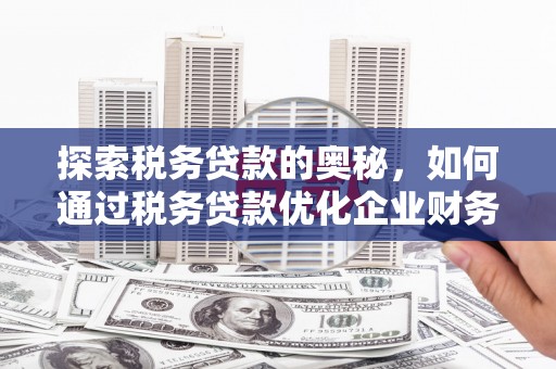 界首探索税务贷款的奥秘，如何通过税务贷款优化企业财务