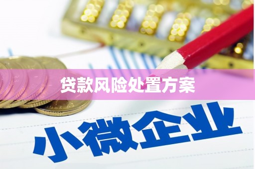 上林贷款风险处置方案