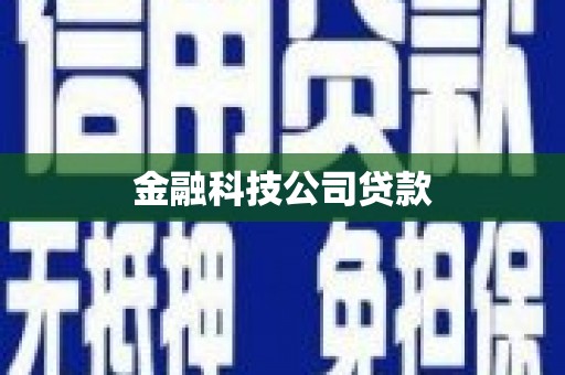 华安金融科技公司贷款
