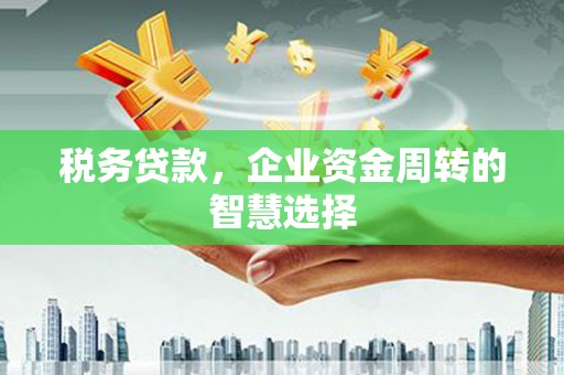 颍上税务贷款，企业资金周转的智慧选择