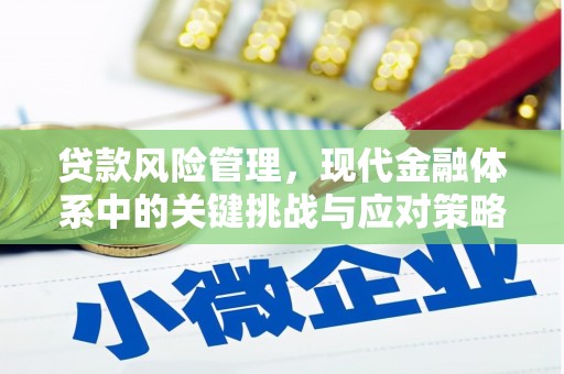 新北贷款风险管理，现代金融体系中的关键挑战与应对策略