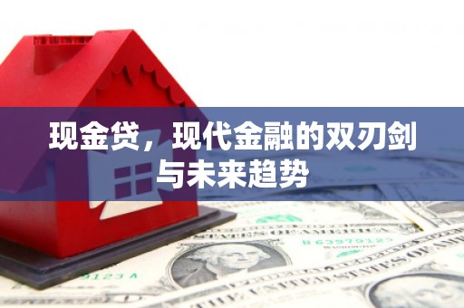南涧现金贷，现代金融的双刃剑与未来趋势