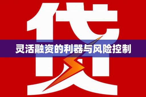 湖口灵活融资的利器与风险控制