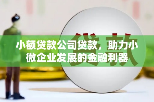 同德小额贷款公司贷款，助力小微企业发展的金融利器