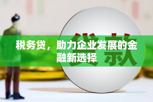 中卫税务贷，助力企业发展的金融新选择