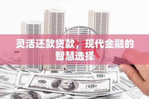 周口灵活还款贷款，现代金融的智慧选择