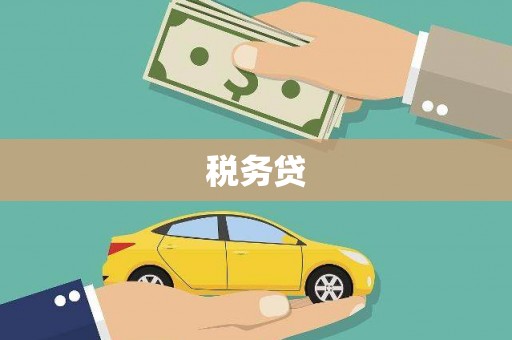 子洲税务贷