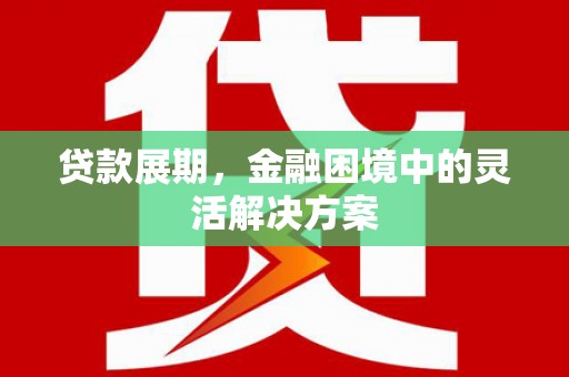 岳阳贷款展期，金融困境中的灵活解决方案