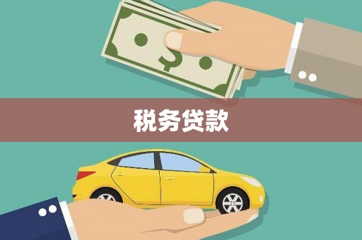 尚义税务贷款