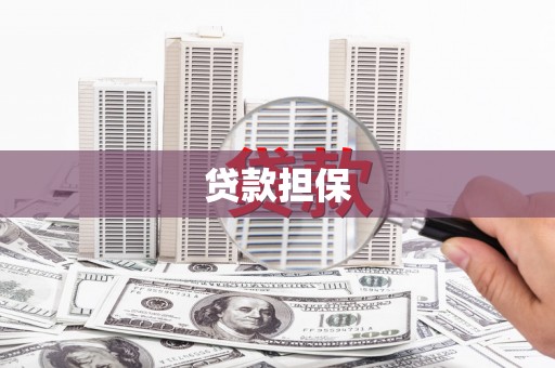 大邑贷款担保