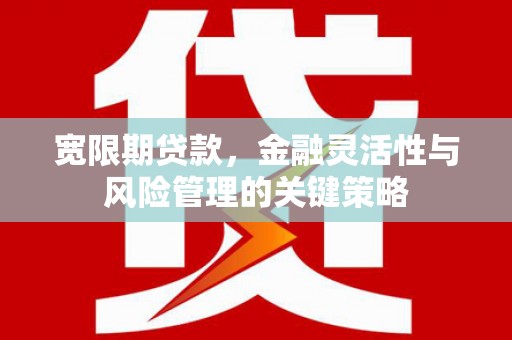 凤县宽限期贷款，金融灵活性与风险管理的关键策略
