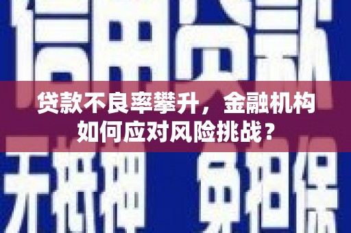 应县贷款不良率攀升，金融机构如何应对风险挑战？