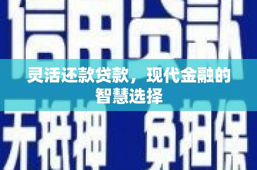 明港灵活还款贷款，现代金融的智慧选择