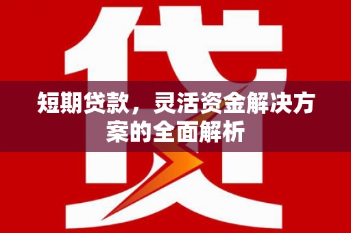 板桥短期贷款，灵活资金解决方案的全面解析
