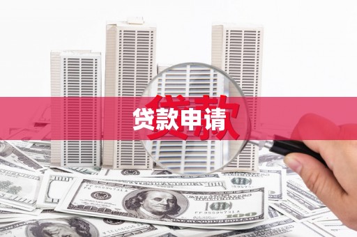 凤泉贷款申请