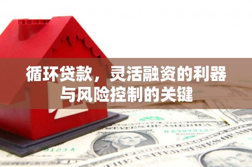 张家川循环贷款，灵活融资的利器与风险控制的关键
