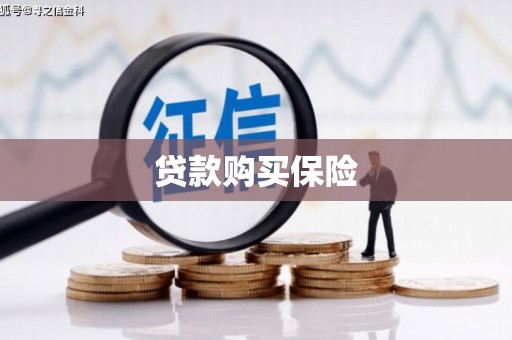 镇平贷款购买保险