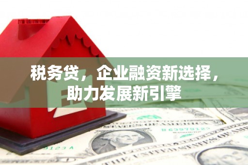 息县税务贷，企业融资新选择，助力发展新引擎