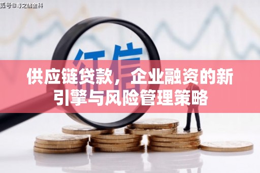 福建供应链贷款，企业融资的新引擎与风险管理策略