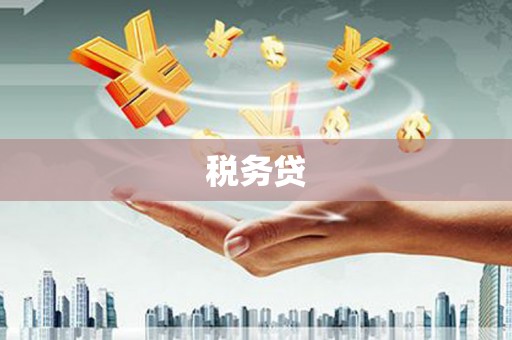 方山税务贷