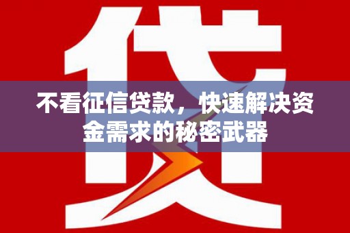 民和不看征信贷款，快速解决资金需求的秘密武器