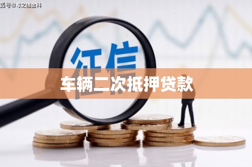 津南车辆二次抵押贷款